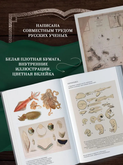 Происхождение видов путем естественного отбора