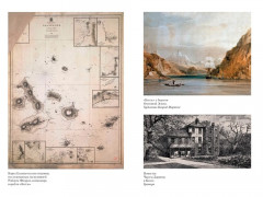 Происхождение видов путем естественного отбора - Фото 6