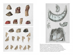Происхождение видов путем естественного отбора - Фото 7
