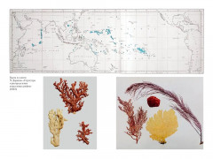 Происхождение видов путем естественного отбора - Фото 8