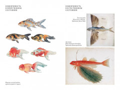 Происхождение видов путем естественного отбора - Фото 9