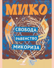 Мико. Полный путеводитель по миру грибов - Фото 5