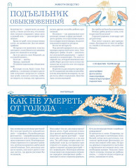 Мико. Полный путеводитель по миру грибов - Фото 9