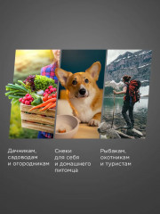 Сушилка для овощей и фруктов FD1105 - Фото 2