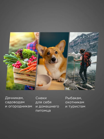 Сушилка для овощей и фруктов Redmond FD1105