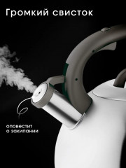 Чайник со свистком - Фото 4