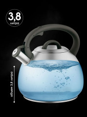 Чайник со свистком - Фото 5