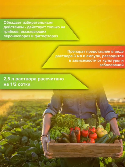 Средство от фитофтороза и пероноспороза томатов, лука, картофеля «Ревус»