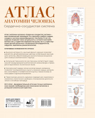Атлас анатомии человека. Сердечно-сосудистая система - Фото 1
