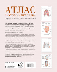 Атлас анатомии человека. Сердечно-сосудистая система - Фото 1
