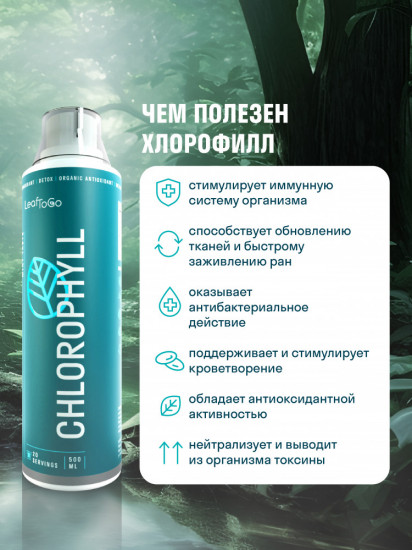 Хлорофилл