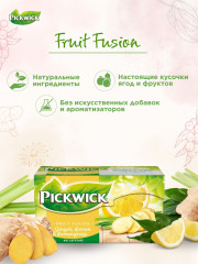 Чай цитрусовый пакетированный с имбирем «Fruit Fusion» - Фото 1