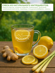 Чай цитрусовый пакетированный с имбирем «Fruit Fusion» - Фото 2
