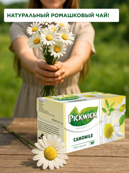 Чай ромашковый пакетированный «Camomile»