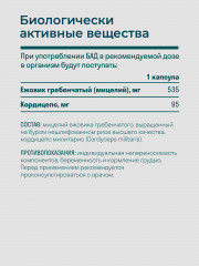 Ежовик гребенчатый с кордицепсом - Фото 2