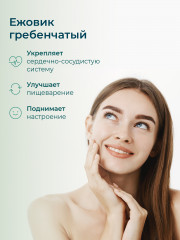 Ежовик гребенчатый с кордицепсом - Фото 3