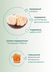 Ежовик гребенчатый с кордицепсом - Фото 4