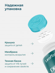 Ежовик гребенчатый с кордицепсом - Фото 7