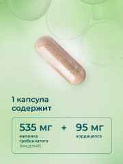 Ежовик гребенчатый с кордицепсом - Фото 9