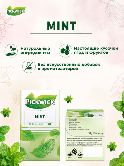 Чай мятный пакетированный «Mint»