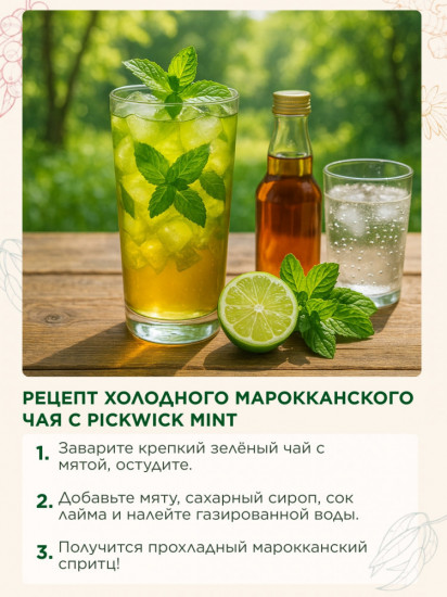 Чай мятный пакетированный «Mint»