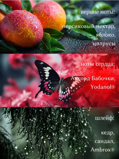 Парфюмерная вода для женщин «Eve Become»