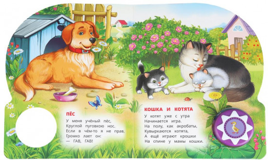 Книга музыкальная «В. Степанов. Домашние животные»