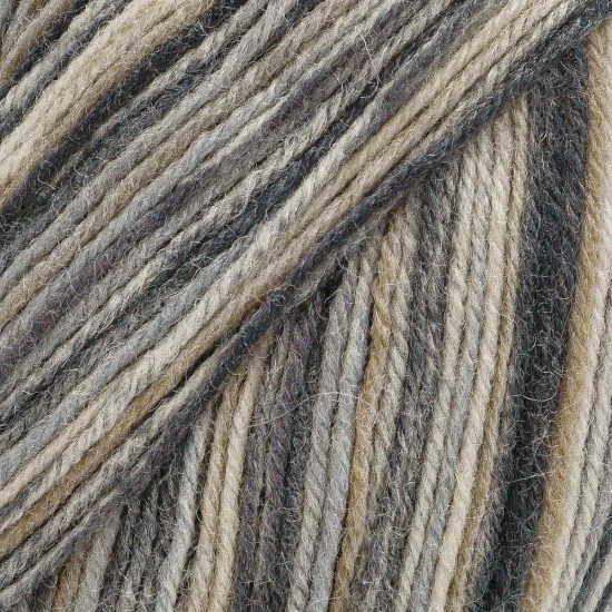 Пряжа для вязания «Superwash Artisan», цвет 9005 секционный