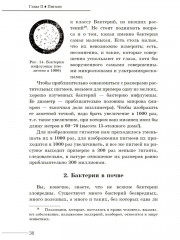 Занимательная ботаника - Фото 8