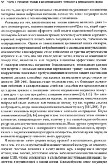 Природа травмы. Исцеление телесного мозга в контексте отношений - Фото 6