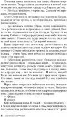 Подсказчик. Теория зла. Девушка в лабиринте. Игра подсказчика. Комплект из 4 книг - Фото 7