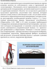 Занимательная хирургия - Фото 7