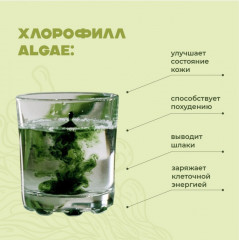 Жидкий хлорофилл из арктической ламинарии - Фото 3