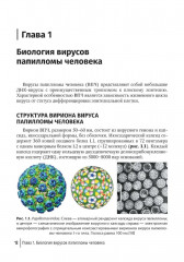 Папилломавирусная инфекция. Междисциплинарные аспекты диагностики и лечения. Руководство для врачей - Фото 4