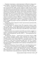Папилломавирусная инфекция. Междисциплинарные аспекты диагностики и лечения. Руководство для врачей - Фото 5