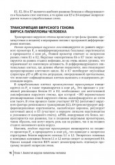 Папилломавирусная инфекция. Междисциплинарные аспекты диагностики и лечения. Руководство для врачей - Фото 8