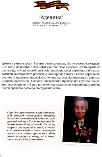 Сирень Победы