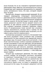 Пряности и специи в аюрведе - Фото 6