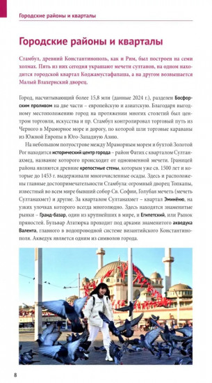 Стамбул. Путеводитель с картами-схемами и с мини-разговорником