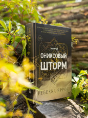 Ониксовый шторм - Фото 5