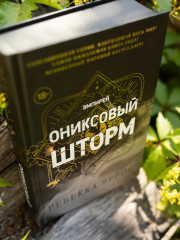 Ониксовый шторм - Фото 4