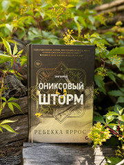 Ониксовый шторм - Фото 7