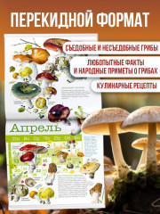 Календарь настенный на 2026 год «Грибы» - Фото 1