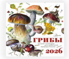 Календарь настенный на 2026 год «Грибы» - Фото 3