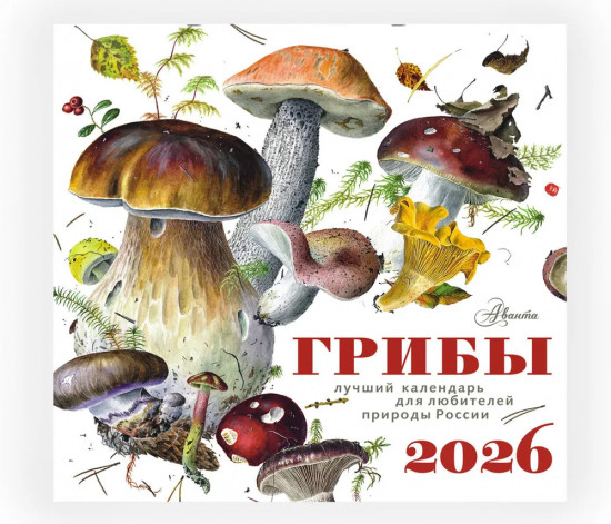 Календарь настенный на 2026 год «Грибы»