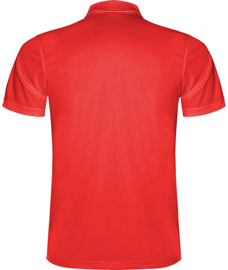 Поло мужское «Monzha»