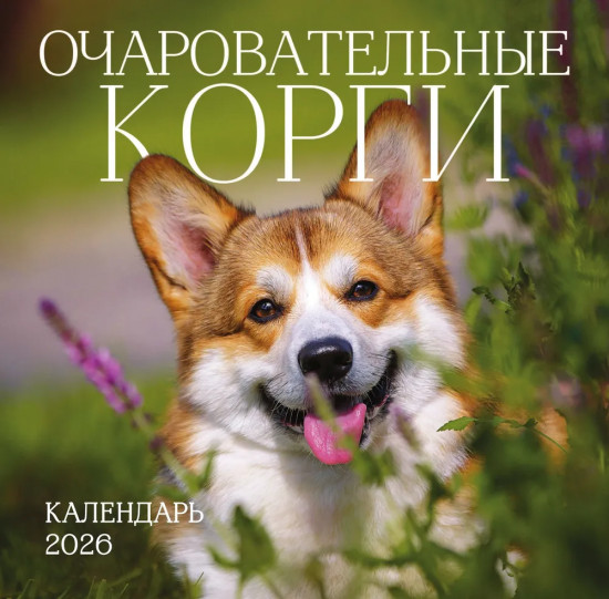 Календарь настенный на 2026 год «Очаровательные корги»
