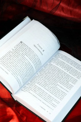 Сумерки - Фото 10