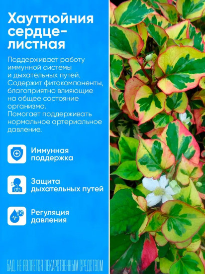 Капсулы противовирусные «Lianhua Qingwen Jiaonang»