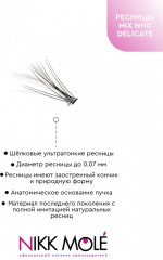 Набор пучковых накладных ресниц «Mix №10 Delicate» - Фото 2